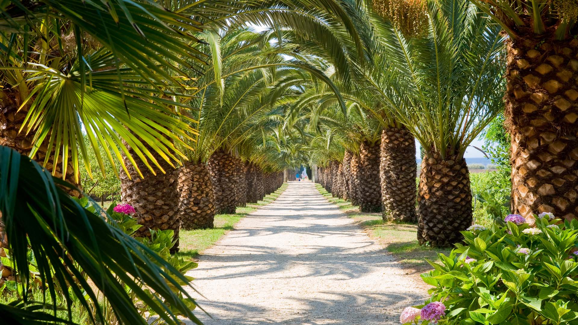 Incentive sur la Côte d'Azur