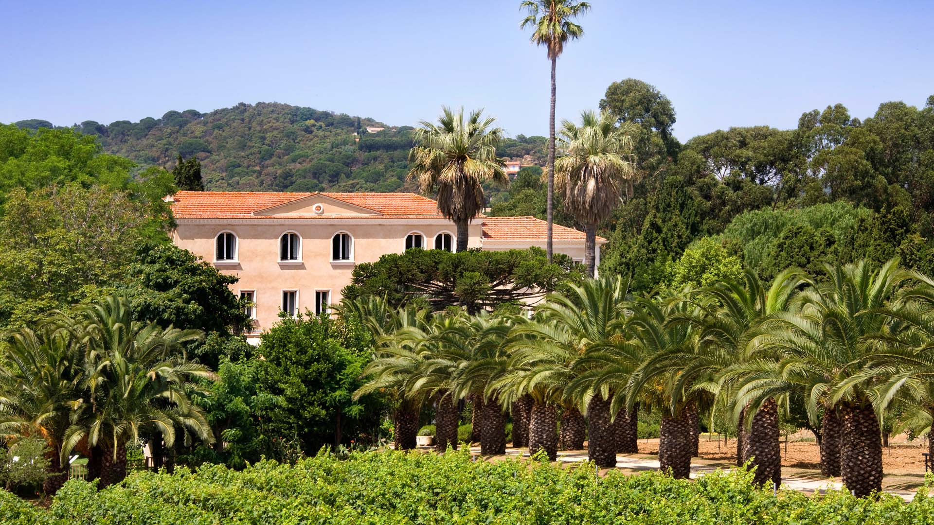 Plage privée de Saint-Tropez