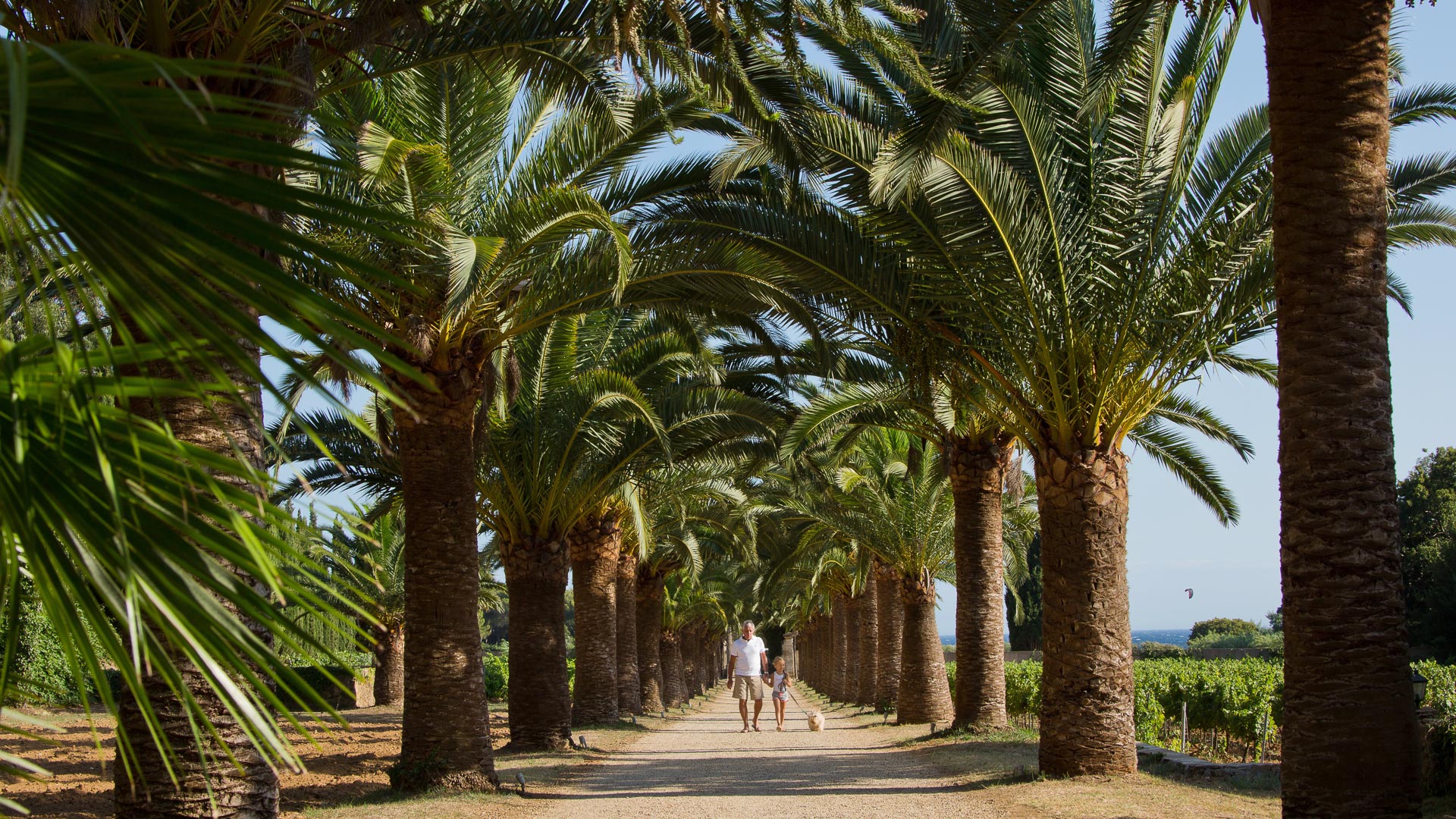 Presqu'île de Saint Tropez près du Château de Valmer