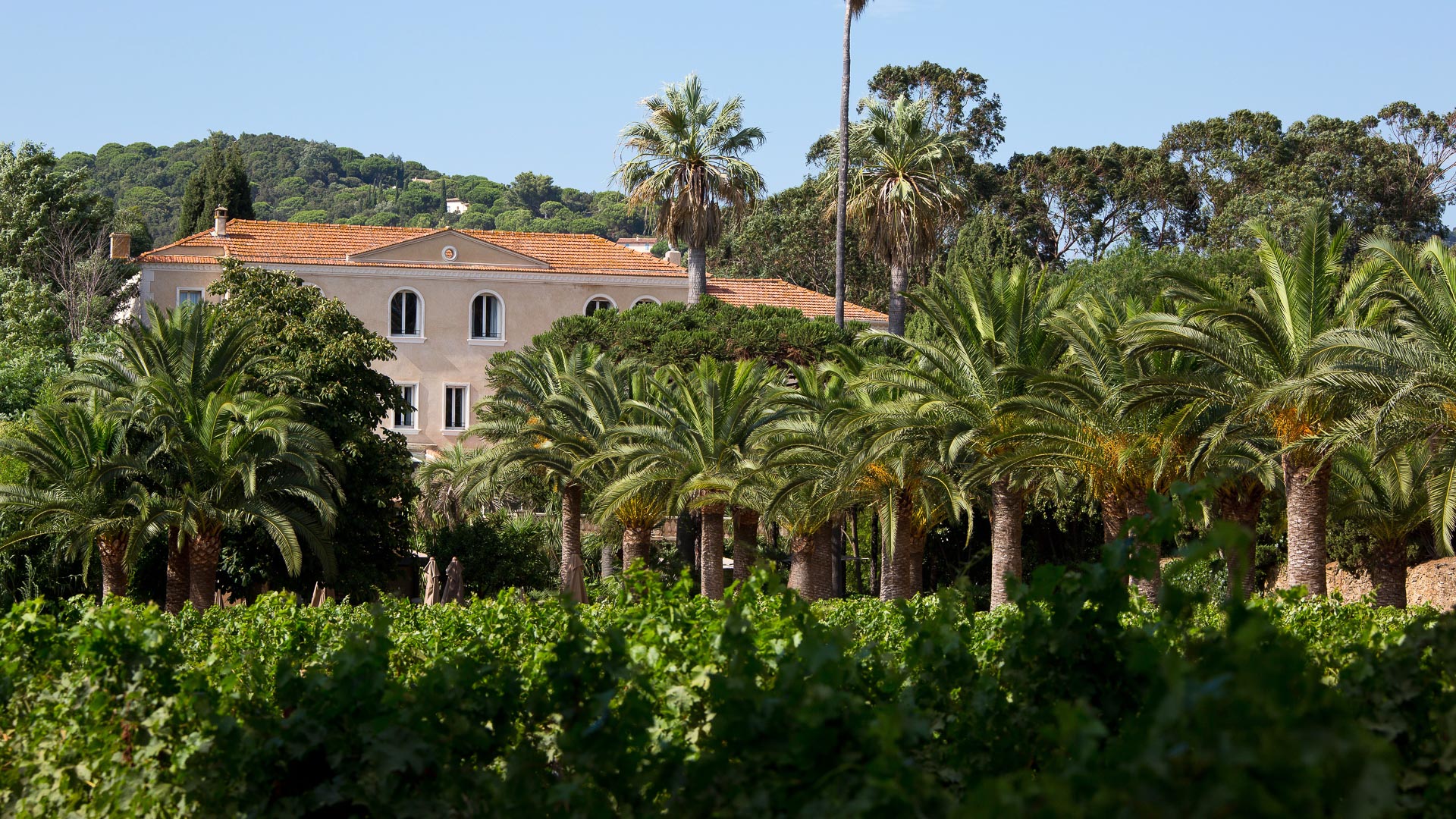 Luxury hotel south of France