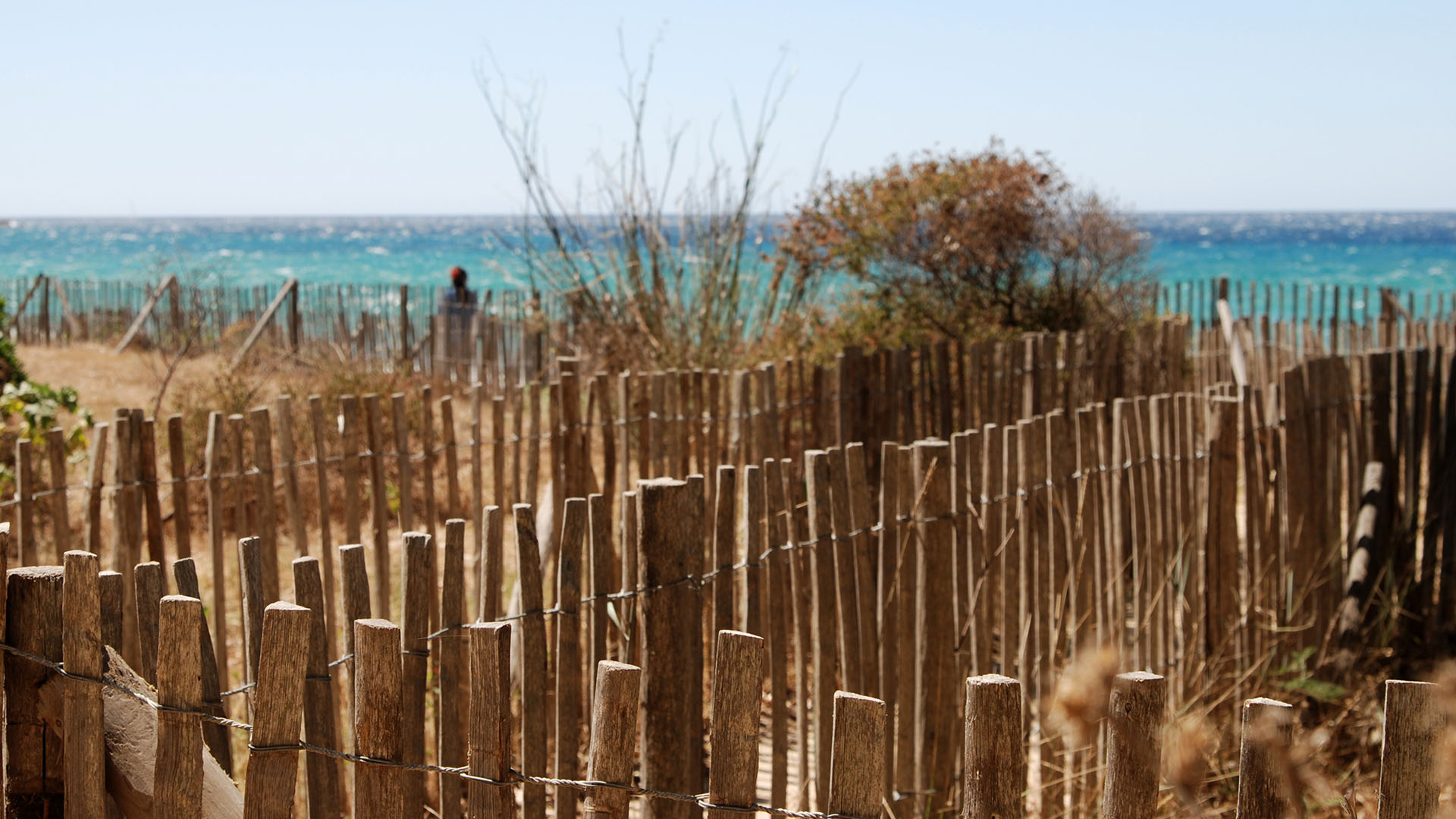 Plage sur la Baie de Gigaro 