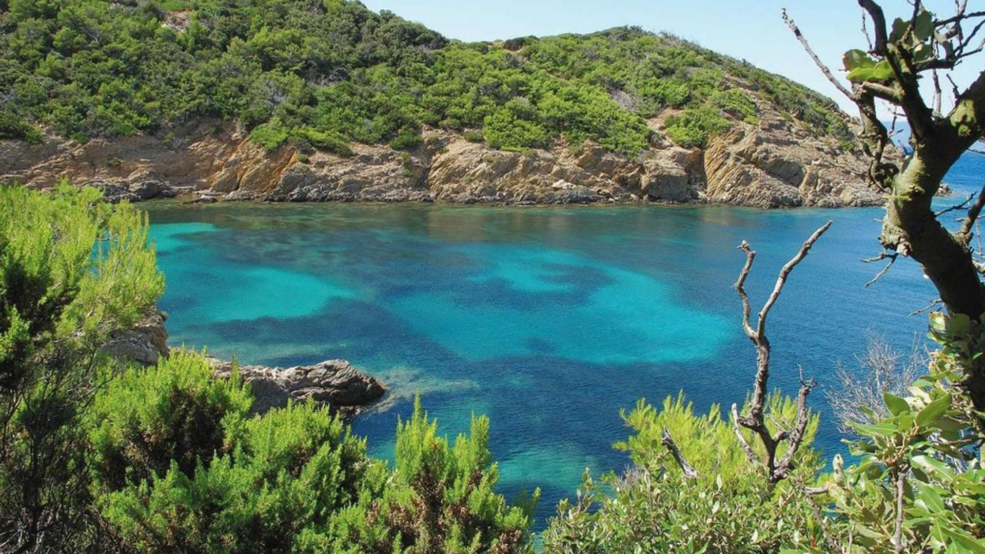 Près de l'hôtel, Port-Cros en Méditerranée