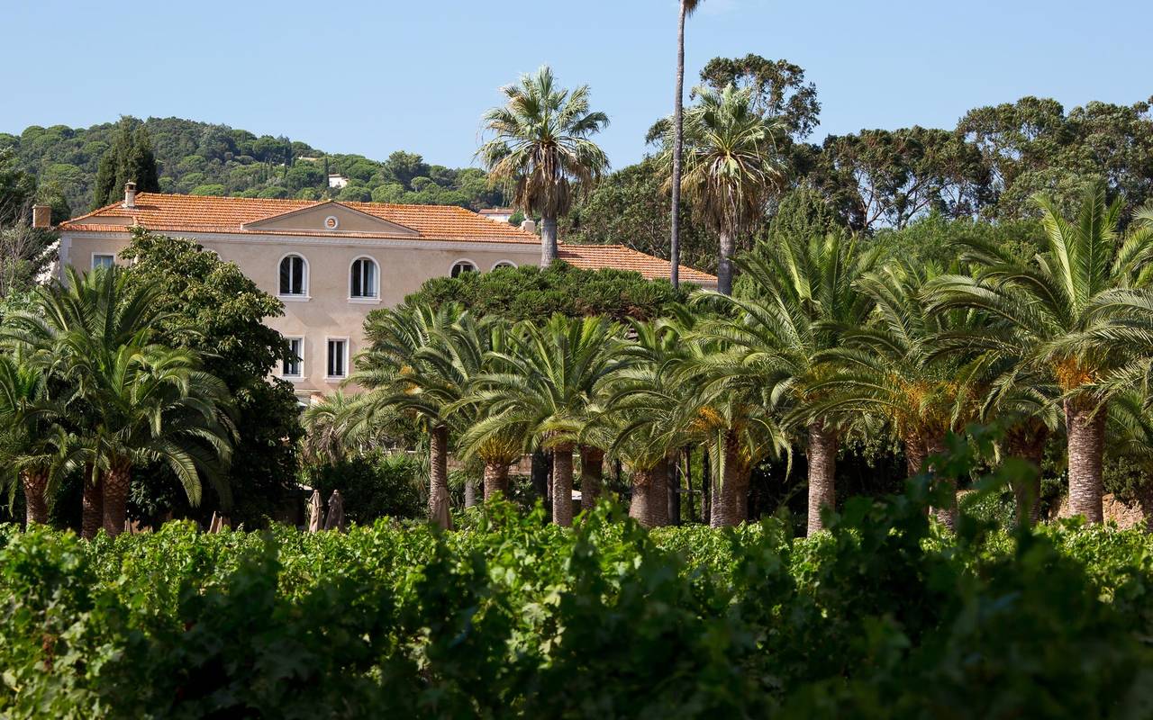 chateau-avec-palmiers-hotel-luxe-cote-d-azure-var-saint-topez-chateau-valmer