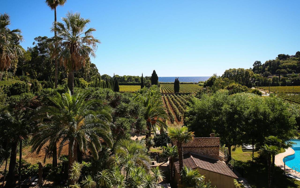 grande-vue-sur-le-jardin-hotel-luxe-cote-d-azure-var-saint-topez-chateau-valmer