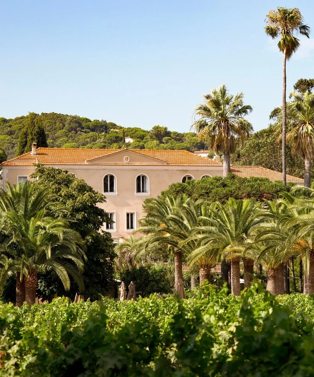 Villa entourée de palmiers et vignes - Hôtel 5 étoiles Côte d’Azur - Château de Valmer