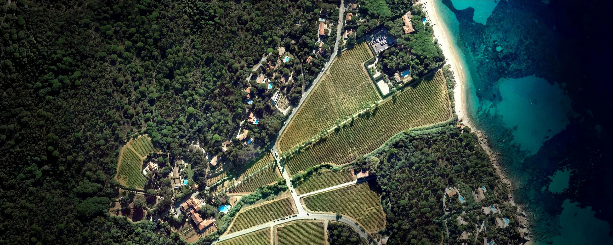 Vue aérienne de vignobles et plage méditerranéenne - Plage privée La Croix Valmer - Château de Valmer