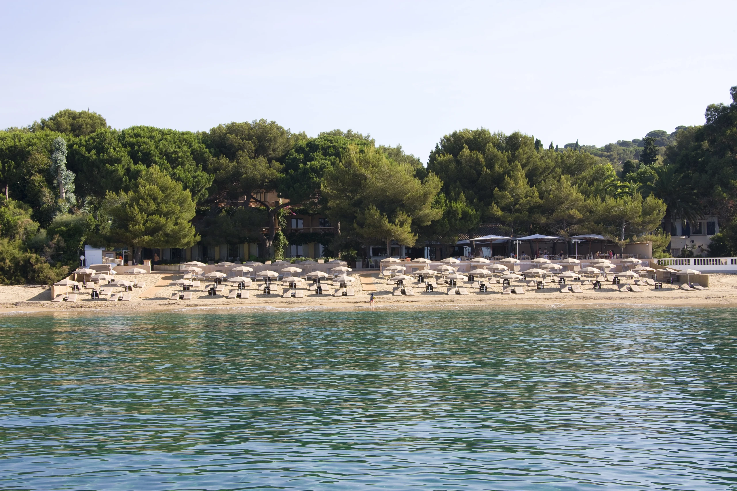 Plage avec parasols devant la forêt.