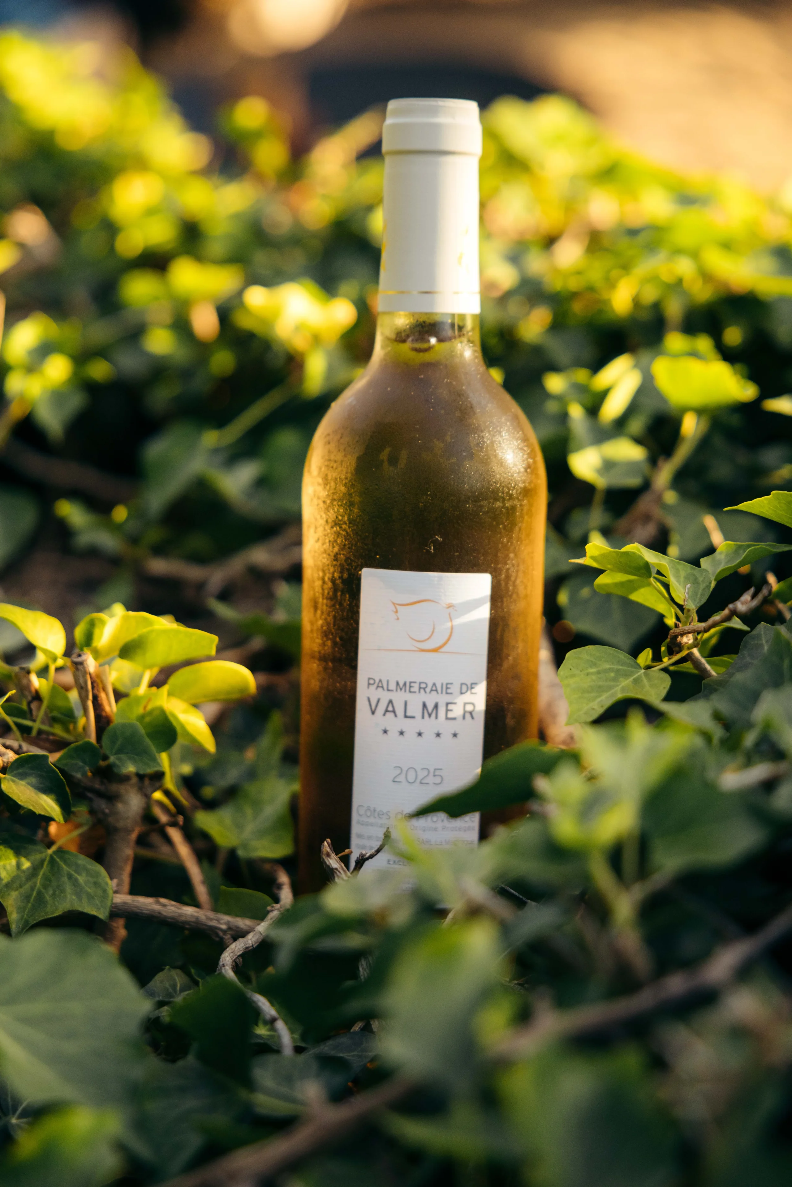 the house rosé wine
